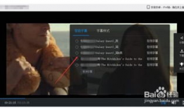 在线视频中文字幕,揭秘在线视频字幕背后的制作奥秘